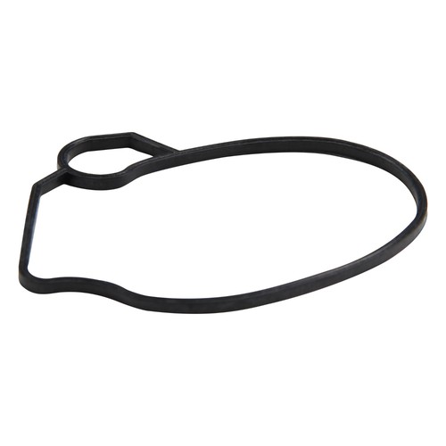 Schwimmerkammerdichtung für